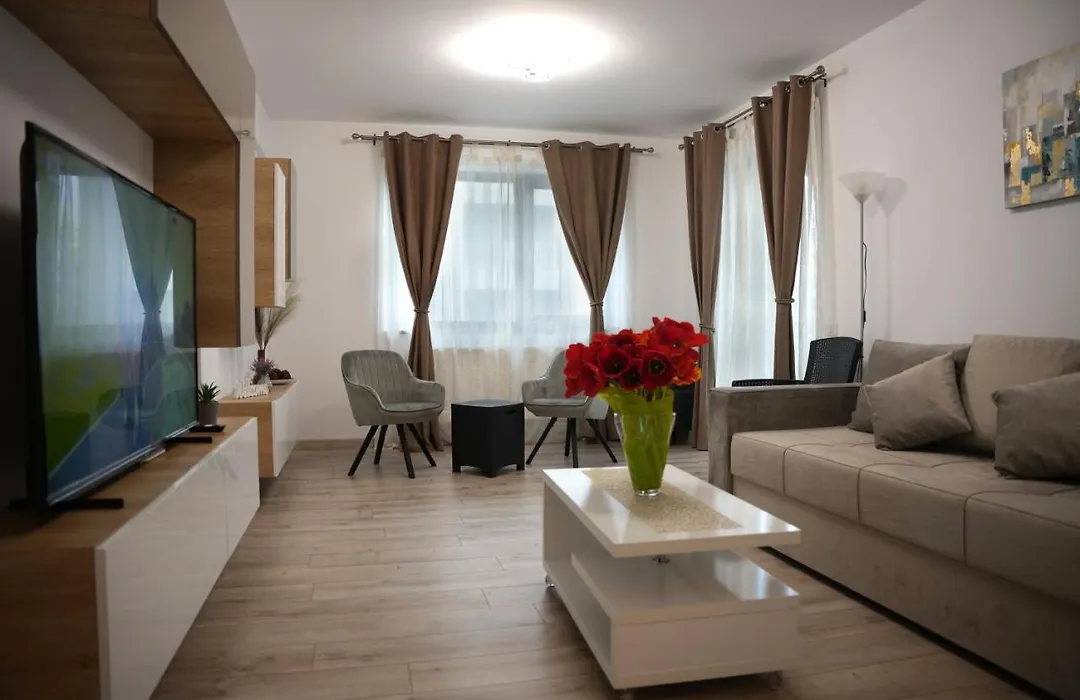 Brigitte Apartment Brasov-1