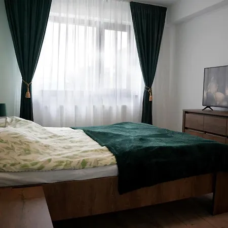 Brigitte Apartment Brasov-2